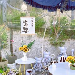 阿浪山庄 User Photo