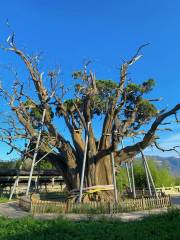 Qinbai Eco-Tourism Park