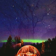 Sjavargrillid Seafood Grill User Photo