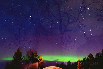 Sjavargrillid Seafood Grill