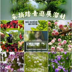 煎茶张血旺总店 User Photo