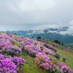 梨园三道菜 User Photo