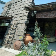 青禾文创田院 User Photo