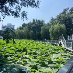 刀板香·安徽菜(长江东路店) User Photo
