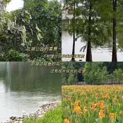 ZHU GU ZHUANG ZHU SHU PO DIAN User Photo