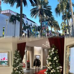 The Friendly Toast User Photo