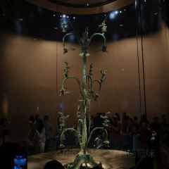 宝镜斋 User Photo