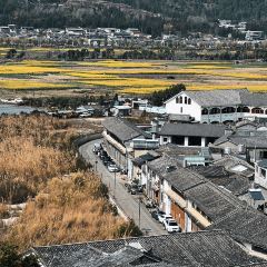 椿野咖啡館（和順店）張用戶圖片