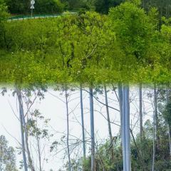 山涧别院 User Photo