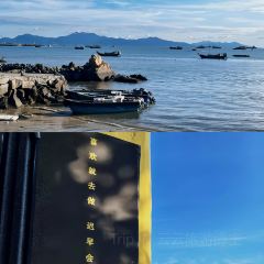海边有棵树 여행 사진