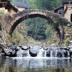 松阳记忆 User Photo