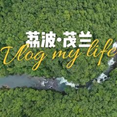 李大哥农家饭庄 User Photo