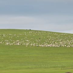 子昱饭店 User Photo