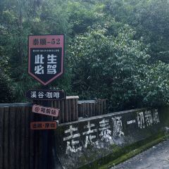 Wiwild逃离计划1·溪谷咖啡(泰顺店) User Photo