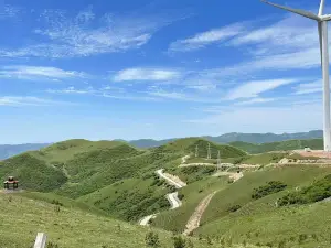 Gupo Grassland