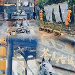 申记臭豆腐煮鱼(五一步行街店) User Photo