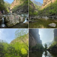 桃花嫂子 User Photo