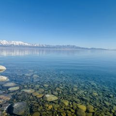 点将台星空营地(博乐赛里木湖店)·自助餐厅 User Photo