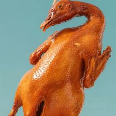 DOU XIANG SHI User Photo