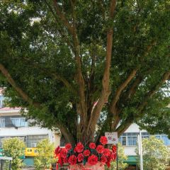 闽粤土菜馆 User Photo