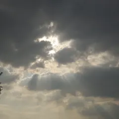 半两·咖啡书店·浮生是杯酒 User Photo