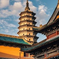 杨记灌肠(食品街店) User Photo