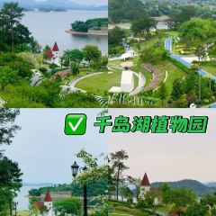 桃鲤·淳鱼馆(千岛湖店) User Photo