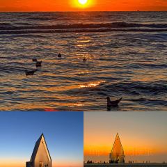 Bar Lotus User Photo