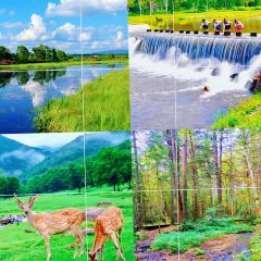 MA XIAO MA JIA User Photo