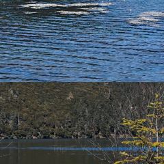 MIN ZHU LA MU TIBET RESTAURANT 여행 사진