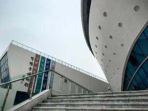 Ziyang Museum
