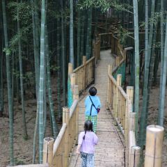 XIANG SHAN FAN DIAN User Photo