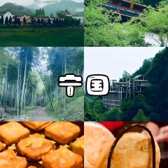 丁师傅205老面馆 User Photo