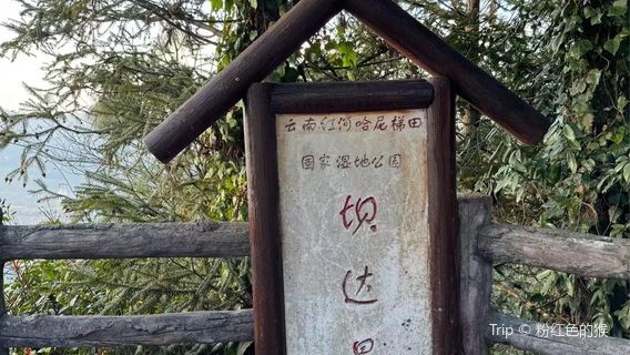 Bada Scenic Area - Observation Deck