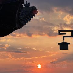 CHINESE TARVEN User Photo