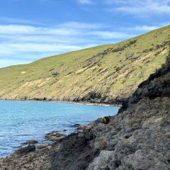Akaroa Fish & Chips User Photo