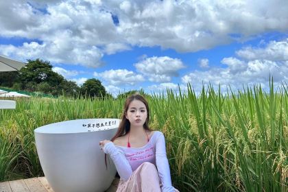 在发呆·lan's浪肆咖啡庄园