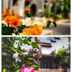 Near No.301 Provincial Road ảnh của người dùng