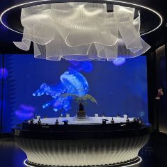 琶洲一号 User Photo