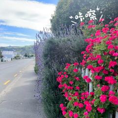 Akaroa Fish & Chips User Photo