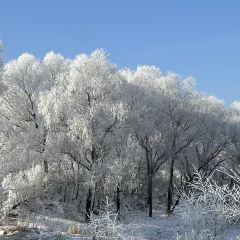 金秋鱼餐馆 User Photo