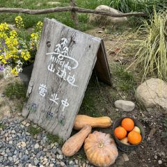 hill side User Photo