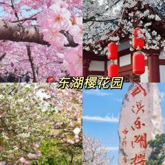 虎子烧烤(民族大道直营店) User Photo