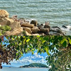 海边有棵树 여행 사진