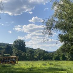 杏好遇见你(总店) User Photo