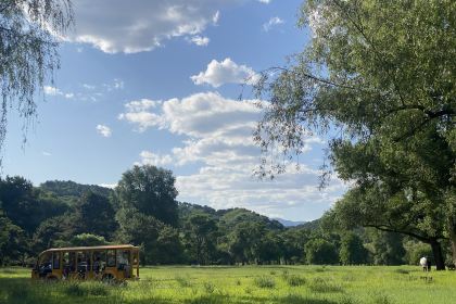 杏好遇见你(总店)