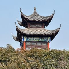 市心街湯包張用戶圖片