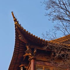 Qisu Court User Photo