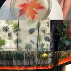 茉莉花-密宗川菜(伊美店)張用戶圖片