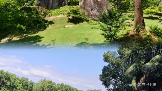 Huanglong City Forest Park